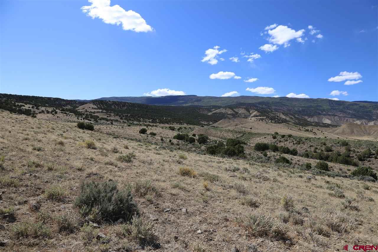 Hunting area 411. Foothills of the Grand Mesa, 35 + acre parcels.  12 parcel subdivision.  Year round access.  Live water on 8 lots. 60 ft. utility easement access. Terrific views, seasonal RV's welcome, modular homes fine, perfect spot for solar power, propane delivery access, septic tanks OK!  30 minute drive from Delta.  Close to shopping, fishing on the Grand Mesa.  Everything is close but you feel a thousand miles away. Livestock Allowed!    OWNER FINANCING AVAILABLE WITH TERMS!!!  60 Ft Access & Utility Easement