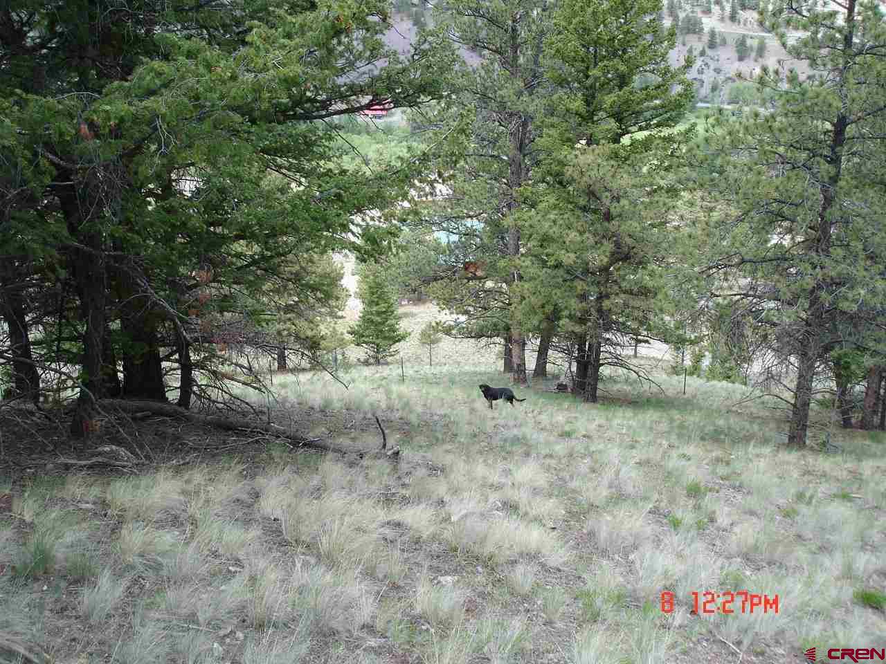 2023 Matterhorn Drive Lake City CO 81235 Active