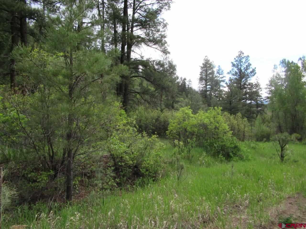 846 Indian Land Road