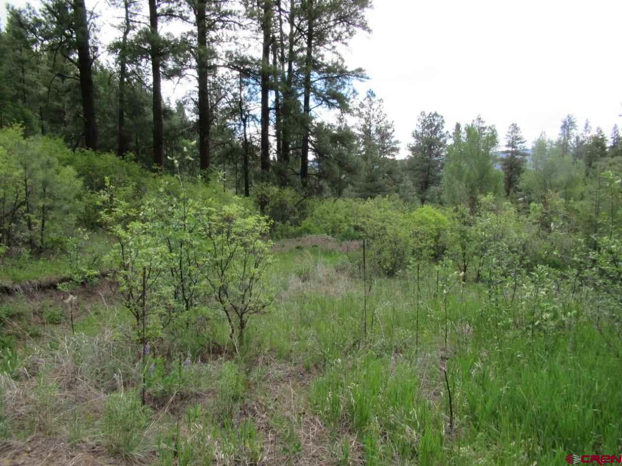846 Indian Land Road
