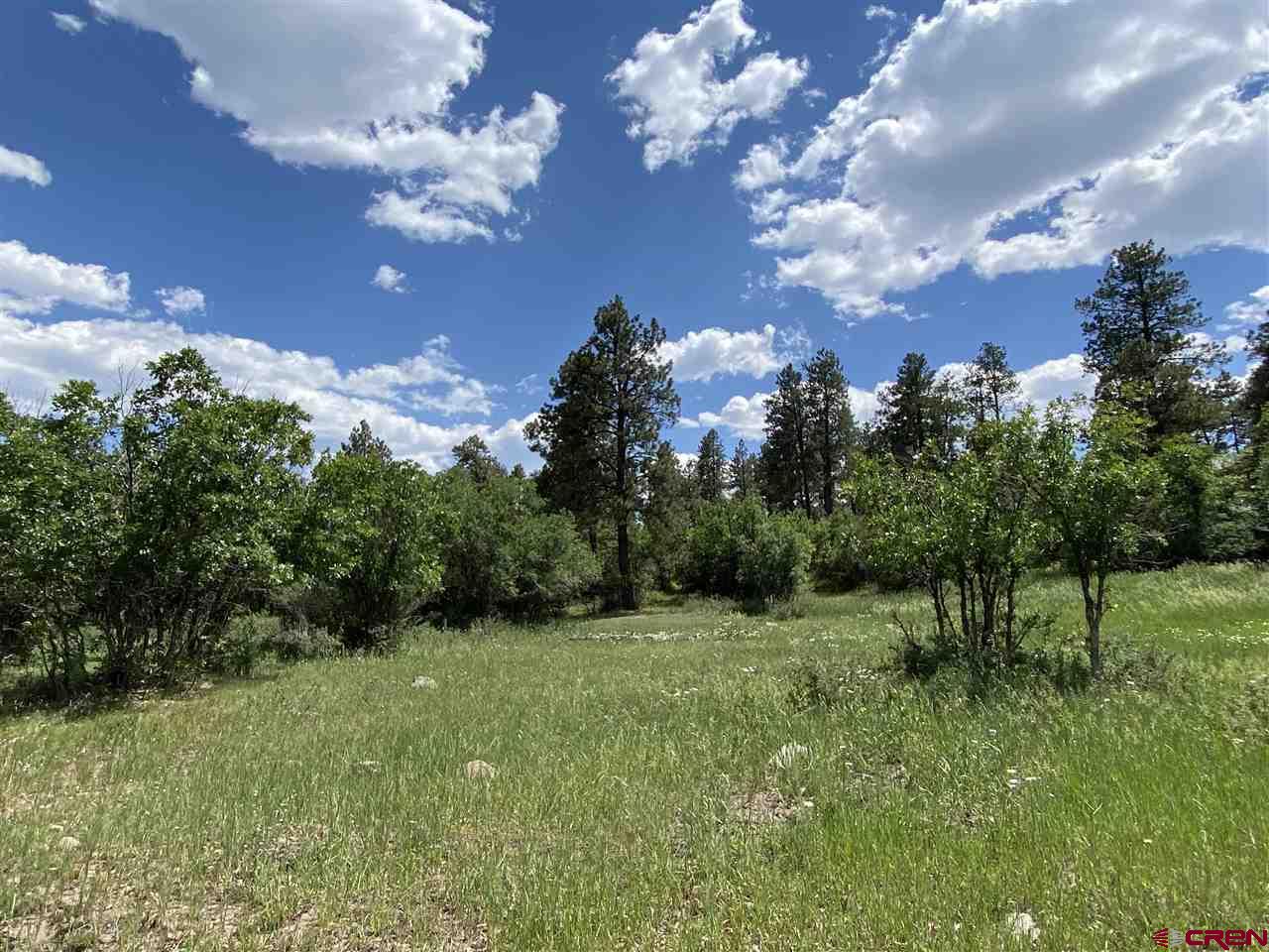 152 Berryhill Drive, Pagosa Springs, CO 81147 Listing Photo  1