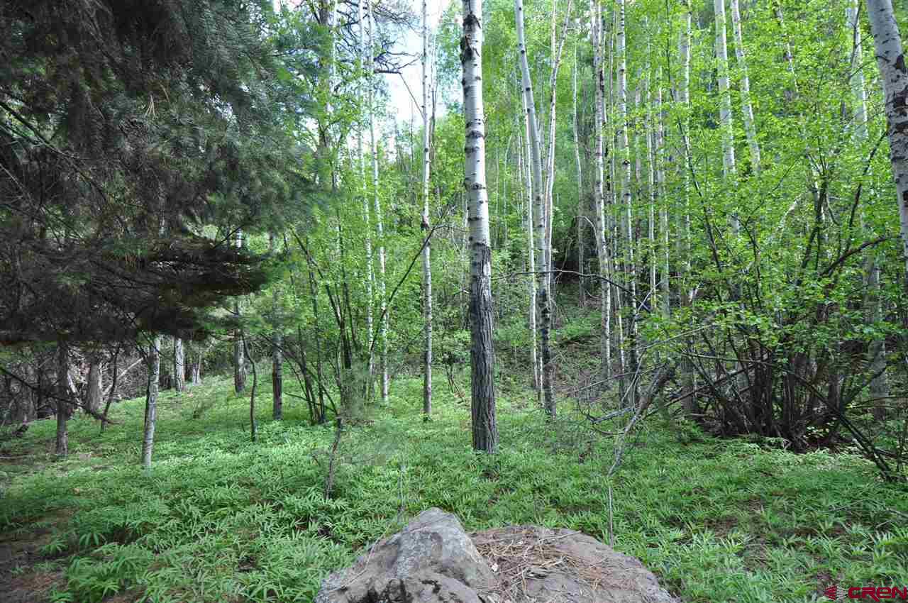 Lots & Land for sale in Ridgway, Colorado, 784421