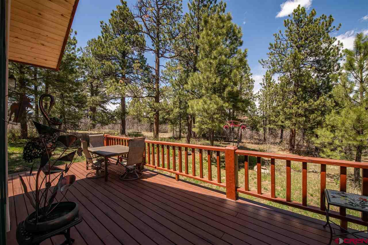 703 Hatcher Circle, Pagosa Springs, CO 81147 Listing Photo  2