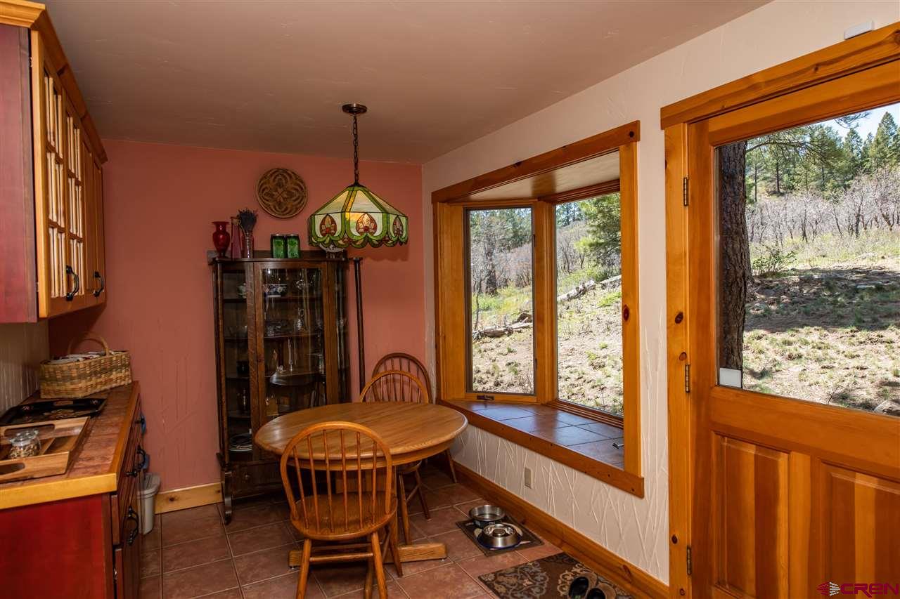 703 Hatcher Circle, Pagosa Springs, CO 81147 Listing Photo  15