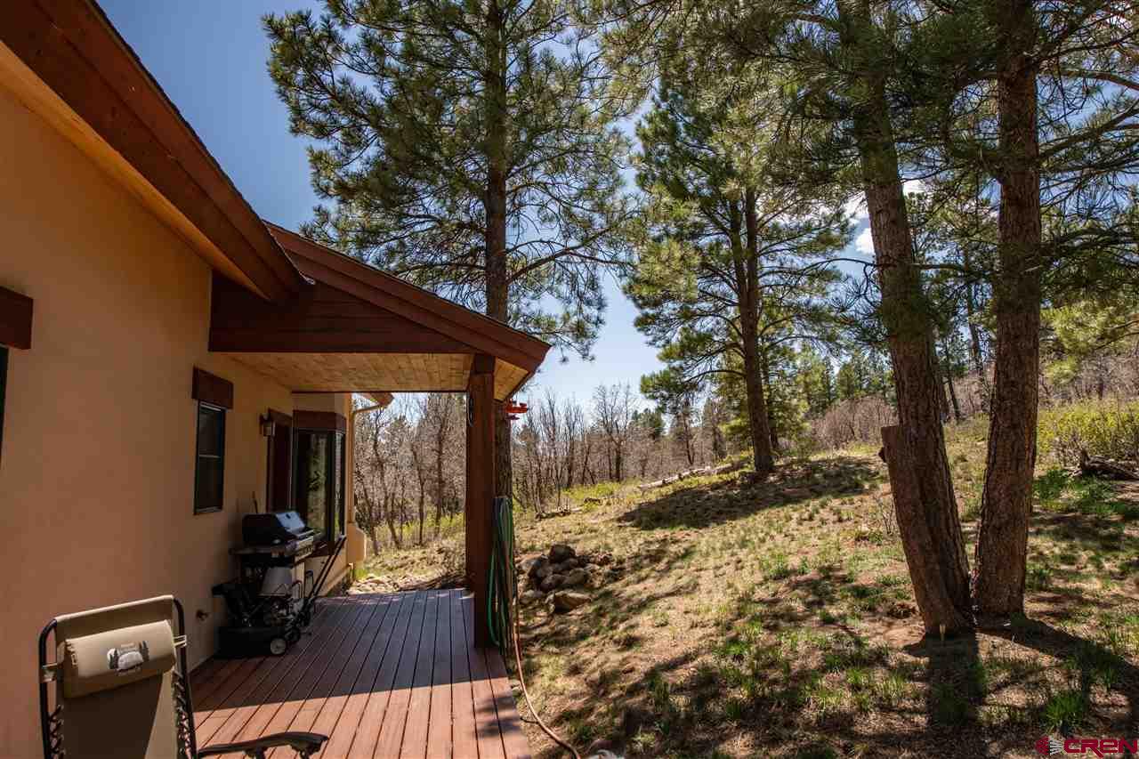703 Hatcher Circle, Pagosa Springs, CO 81147 Listing Photo  17
