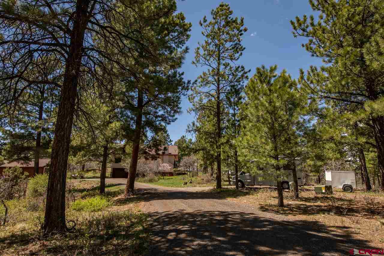 703 Hatcher Circle, Pagosa Springs, CO 81147 Listing Photo  33