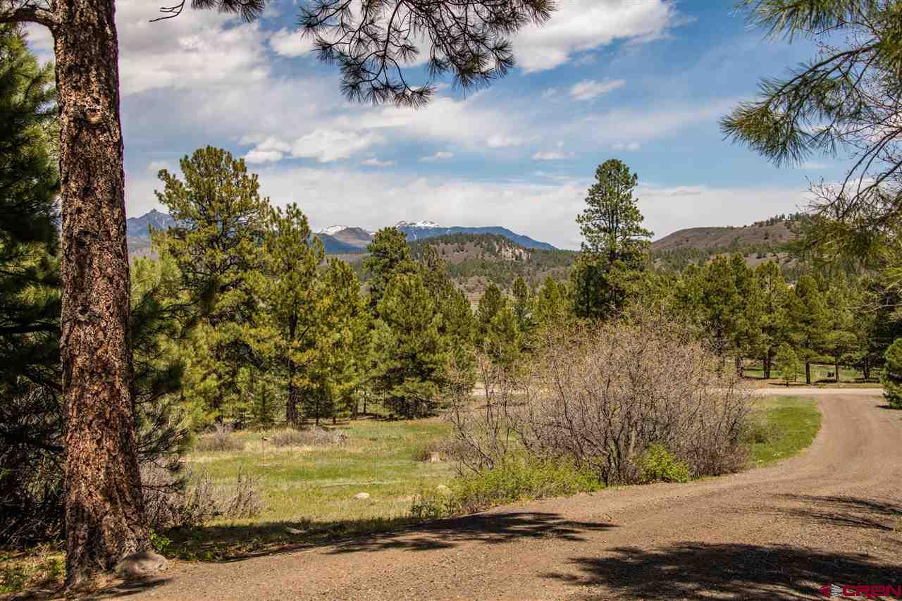 703 Hatcher Circle, Pagosa Springs, CO 81147 Listing Photo  34