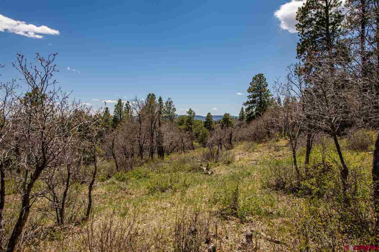 703 Hatcher Circle, Pagosa Springs, CO 81147 Listing Photo  35