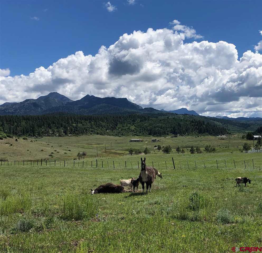 TBD Perry Drive, Pagosa Springs, CO 81147 Listing Photo  1
