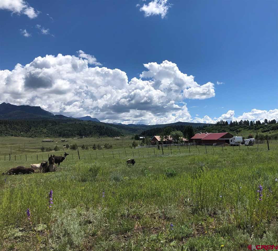 TBD Perry Drive, Pagosa Springs, CO 81147 Listing Photo  2