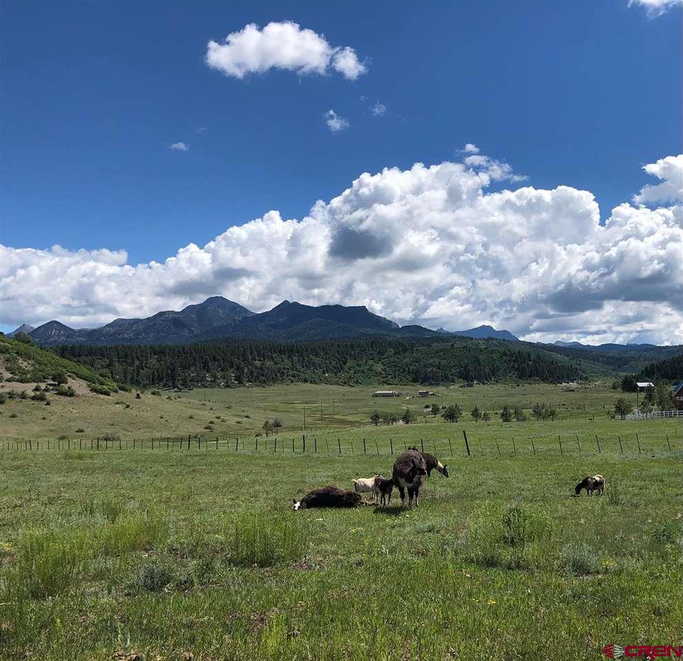 TBD Perry Drive, Pagosa Springs, CO 81147 Listing Photo  3