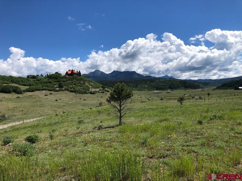 TBD Perry Drive, Pagosa Springs, CO 81147 Listing Photo  6