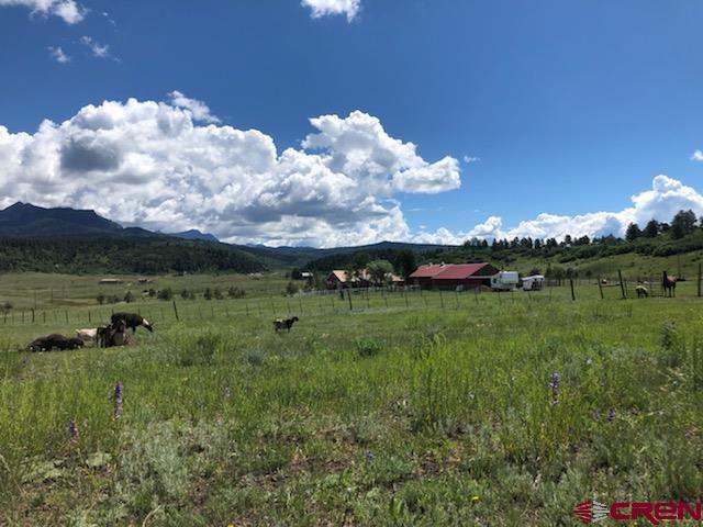 TBD Perry Drive, Pagosa Springs, CO 81147 Listing Photo  10