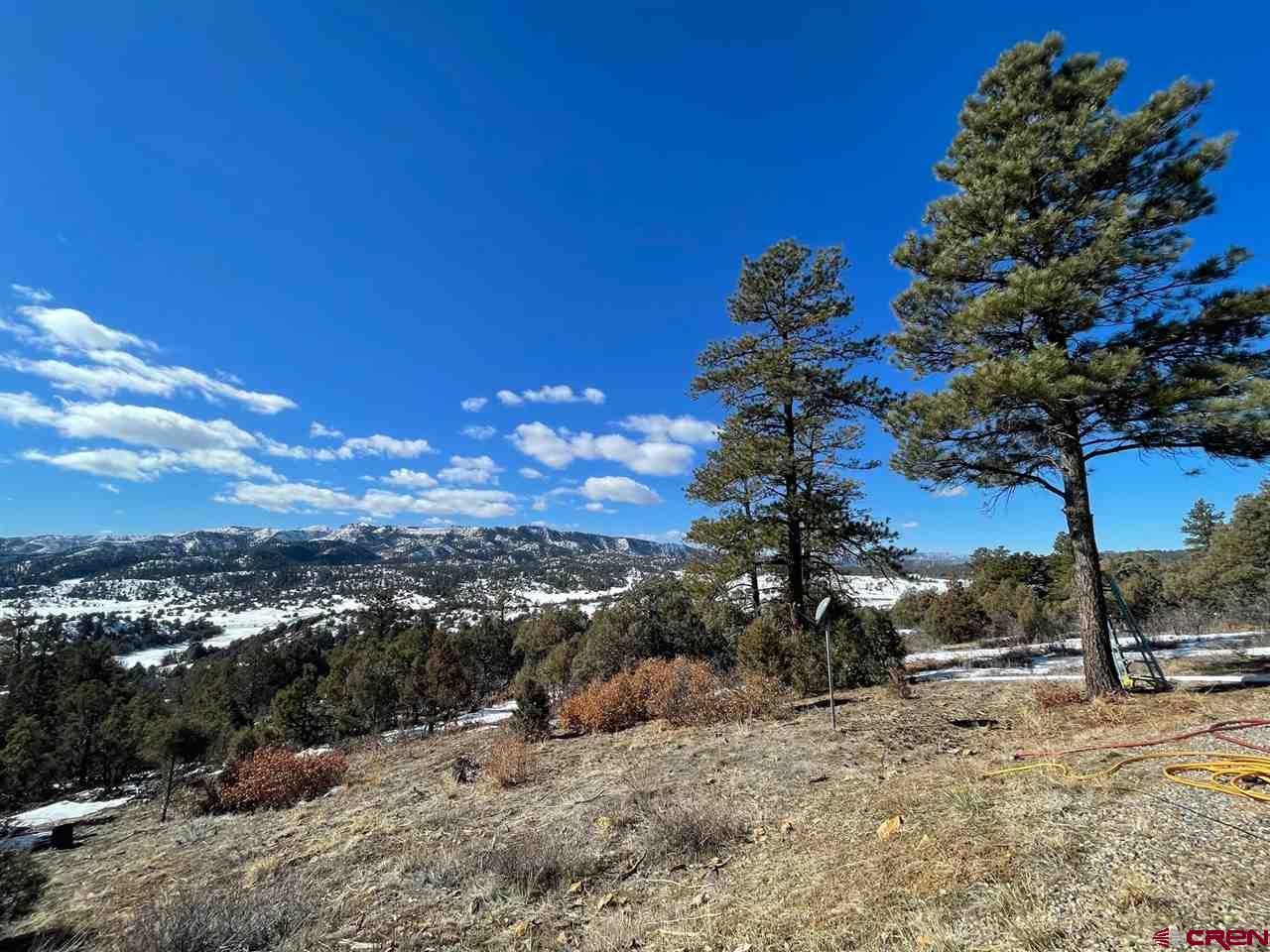 5600 County Road 700, Pagosa Springs, CO 81147 Listing Photo  20