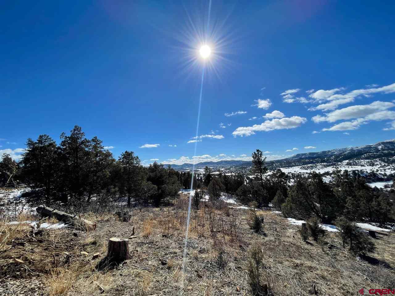 5600 County Road 700, Pagosa Springs, CO 81147 Listing Photo  4