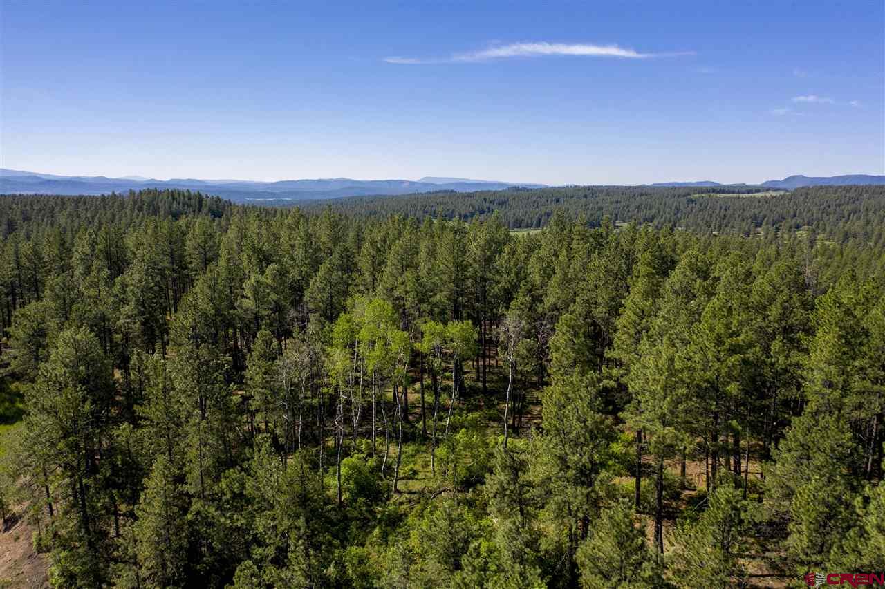2300 Hidden Valley Drive, Pagosa Springs, CO 81147 Listing Photo  3