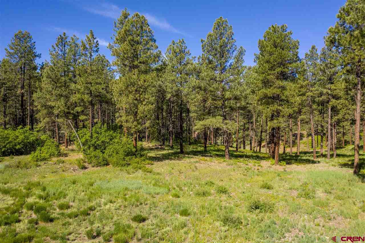 2300 Hidden Valley Drive, Pagosa Springs, CO 81147 Listing Photo  9