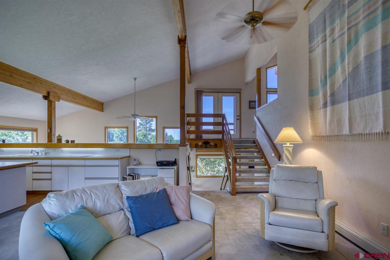 809A Sonlight Place, Pagosa Springs, CO 81147 Listing Photo  6