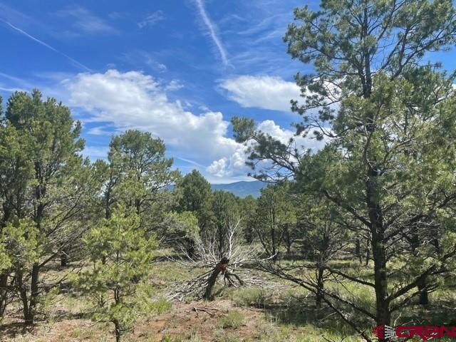 Gorgeous 3.6 acre estate lot. Build your dream home and enjoy the privacy of a large treed lot with towering Ponderosa Pines and amenities and golf close by. One of the last developer fully serviced lots includes fully paid water and sewer taps and connection.  Ownership includes The Divide Ranch and Golf Club with its 7038 YD, 18 hole award winning golf course. lay this beautiful course as often as you can and pay only the cart fees. The fabulous clubhouse is a stone's throw away, so enjoy Friday Night Burger Night (see clubhouse schedule) and walk home. Located just 6 miles from the historic town of Ridgway, 30 minutes from Montrose Regional Airport; 45 minutes from Telluride's world class skiing and 10 miles from Ouray's famous hot springs and the San Juan Skyway. Located on Log Hill, this community is only 45 minutes from Telluride's world-class skiing; 30 minutes to Montrose Regional Airport and 5 miles from downtown Ridgway and 14 miles to Ouray.