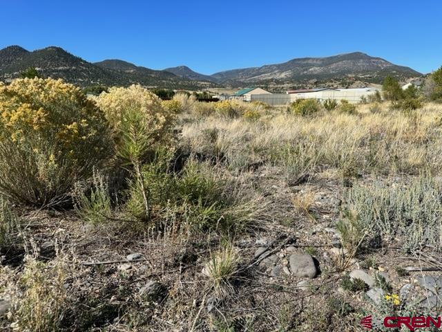 Photo of 83 Sawmill St in South Fork, CO