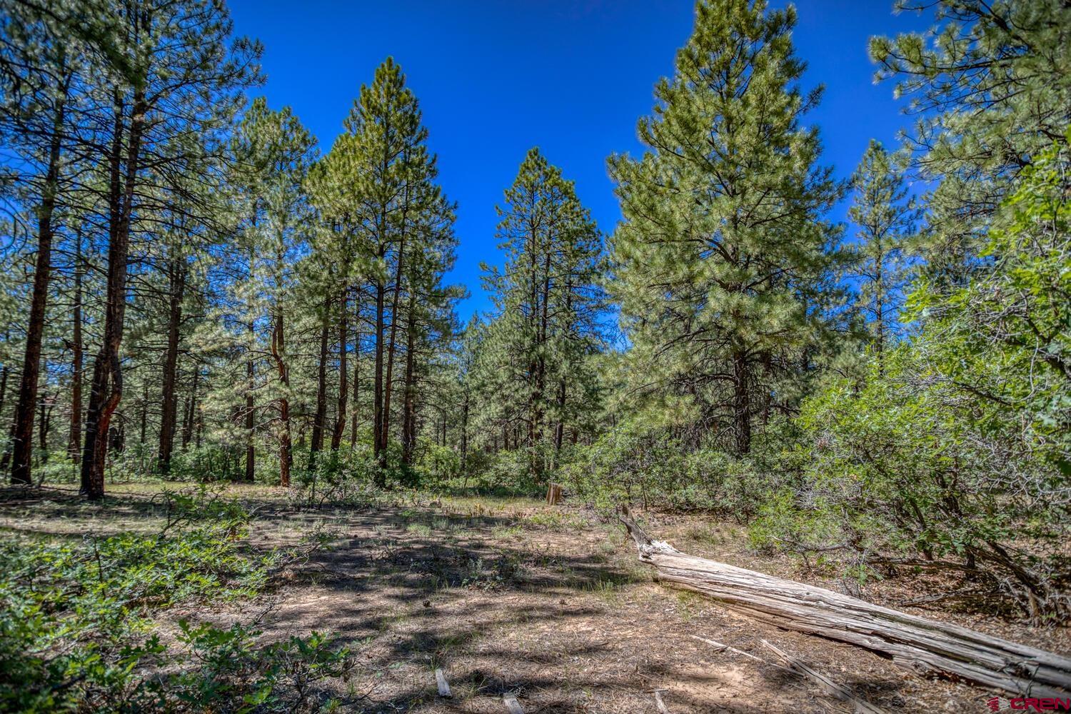 787 E Log Hill Road