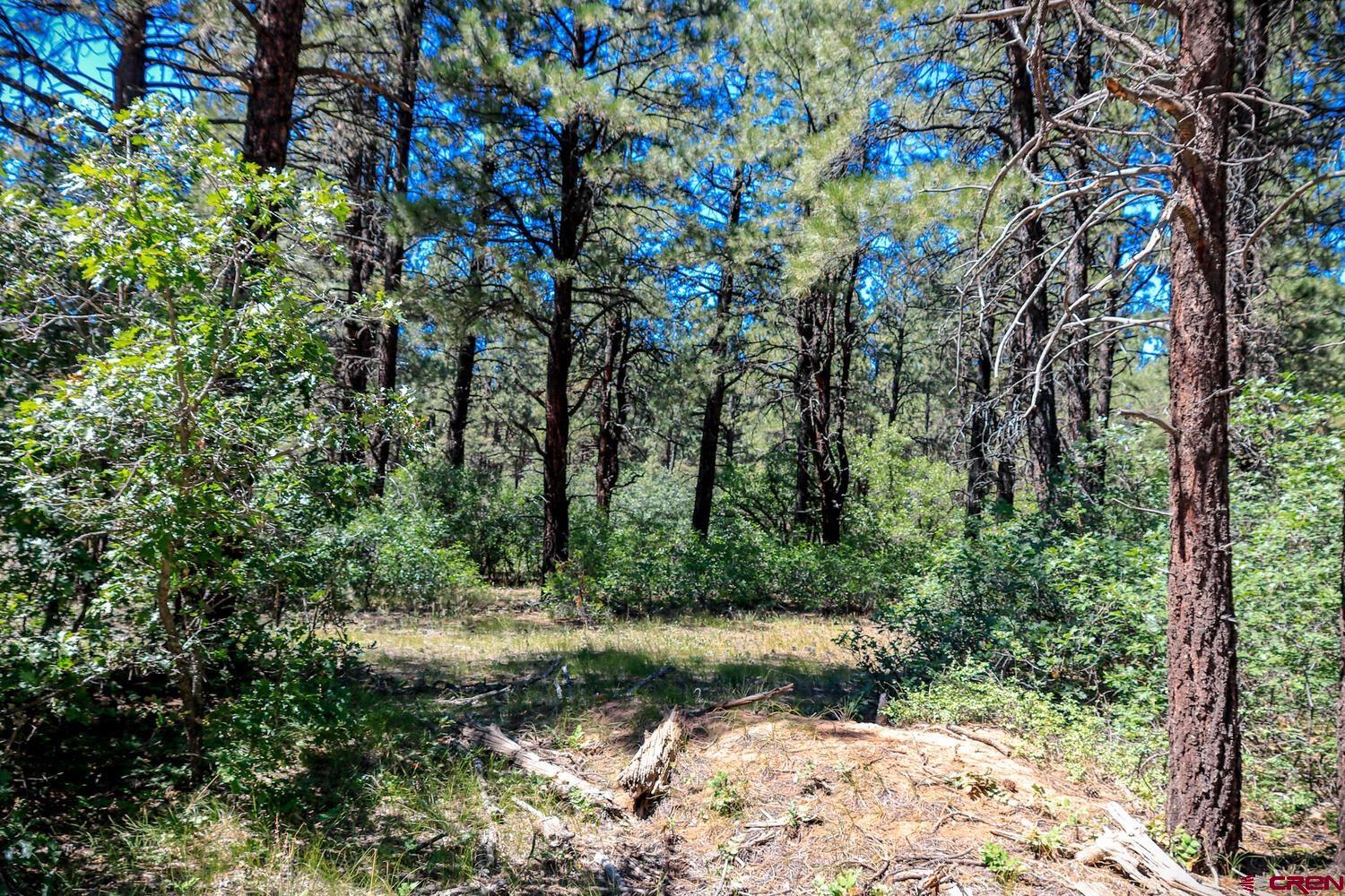 787 E Log Hill Road