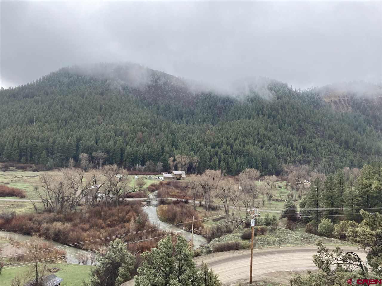 2519 County Road 335