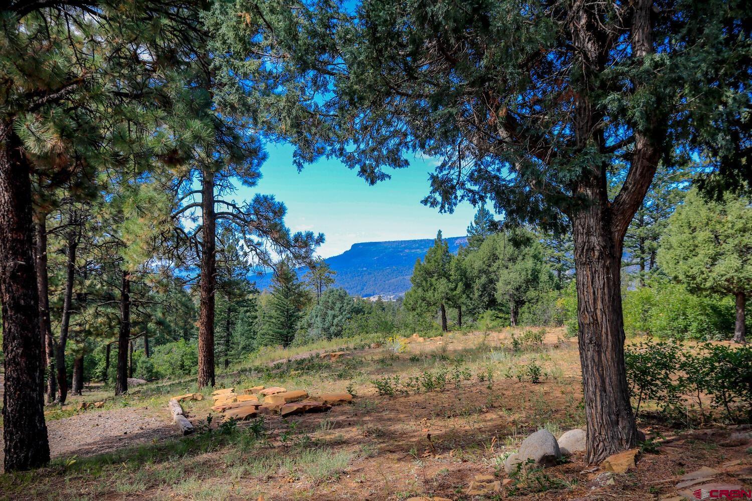 852 S Black Bear Place