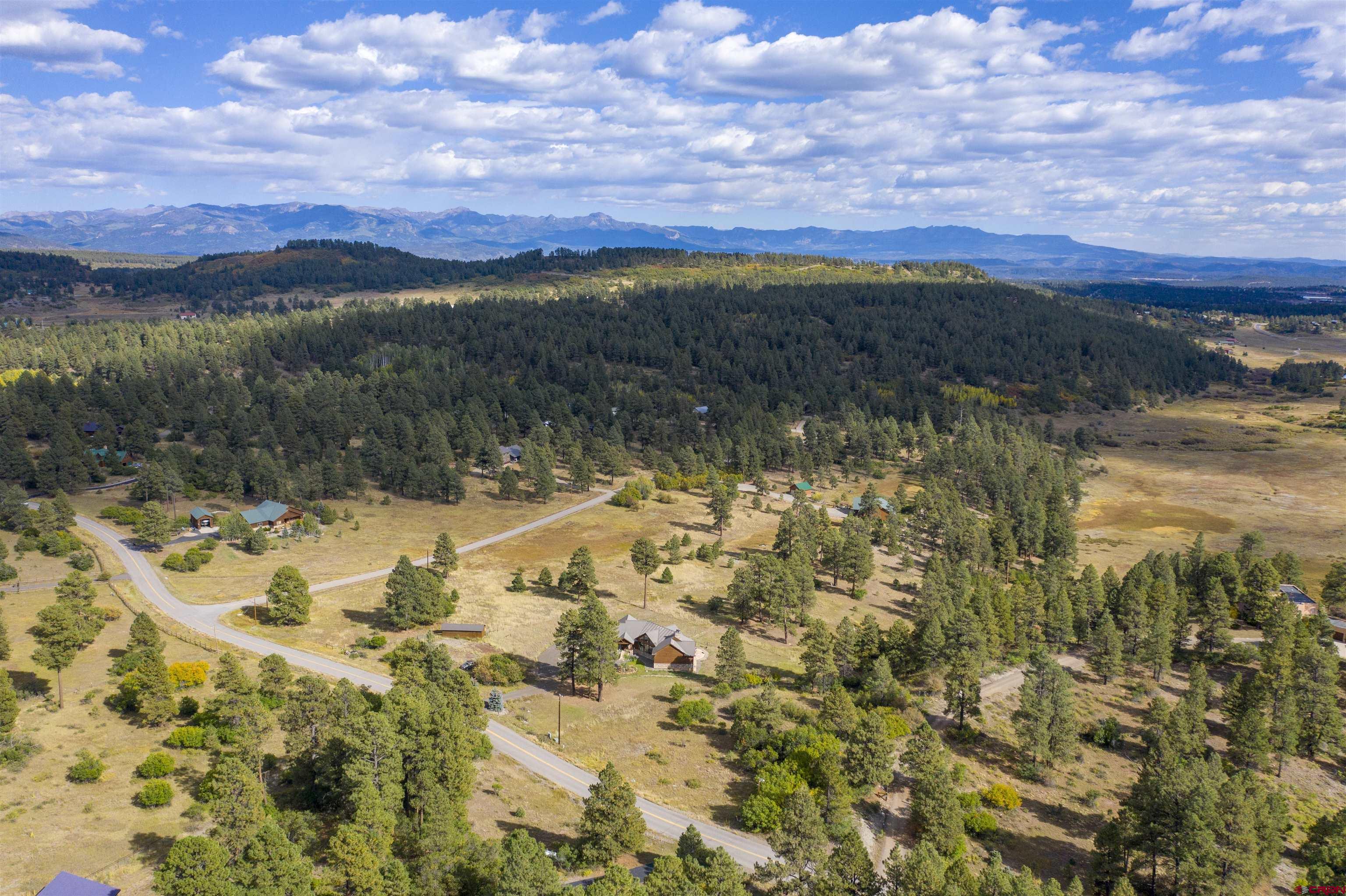 1164 Hatcher Circle, Pagosa Springs, CO 81147 Listing Photo  3