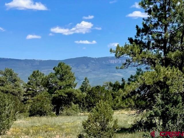 Mountain views and Ponderosa pines tower over this beautiful easy build lot with Cimarron Views in your backyard.  Play unlimited golf (cart fees only) with your Founders Club membership in the summer and cross country ski or snowshoe right our your door in the winter. With Ridgway and Ridgway State Park only 7 miles away,  Ouray 17 miles and Telluride only 35 miles you have the splendor and beauty of the Western slope and its wide array or outdoor recreation; hiking, mountain climbing, ice climbing, biking, fishing, skiing