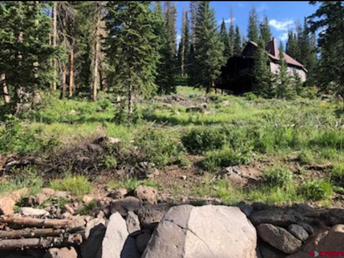 The mountains are calling! This charming lot is located in the Grand Mesa Resort Co. This is a privately owned resort located in the Grand Mesa National Forest. Build your cozy cabin on this gently sloped lot nestled in with surrounding pine trees. In the warm months enjoy the many lakes the mesa has to offer. There is fishing, paddle boarding, hunting and canoeing or hop on your favorite ATV! In the winter there is cross country skiing, snowmobiling and ice fishing! Do you like downhill skiing? This resort is near the Powderhorn Mountain Resort. You will receive a stock certificate in the Grand Mesa Resort Company and no real estate is conveyed.