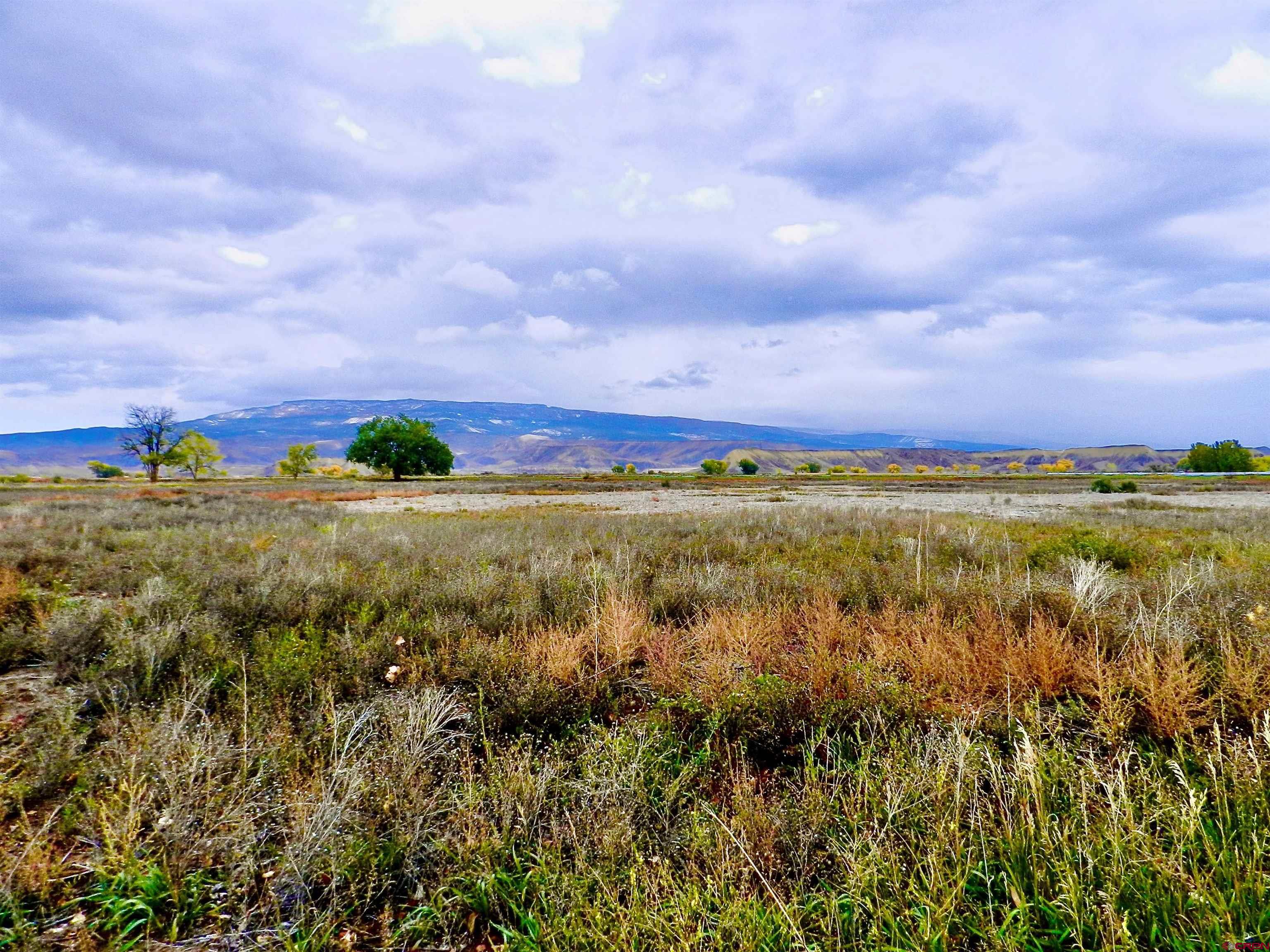 Land for Sale Delta County CO