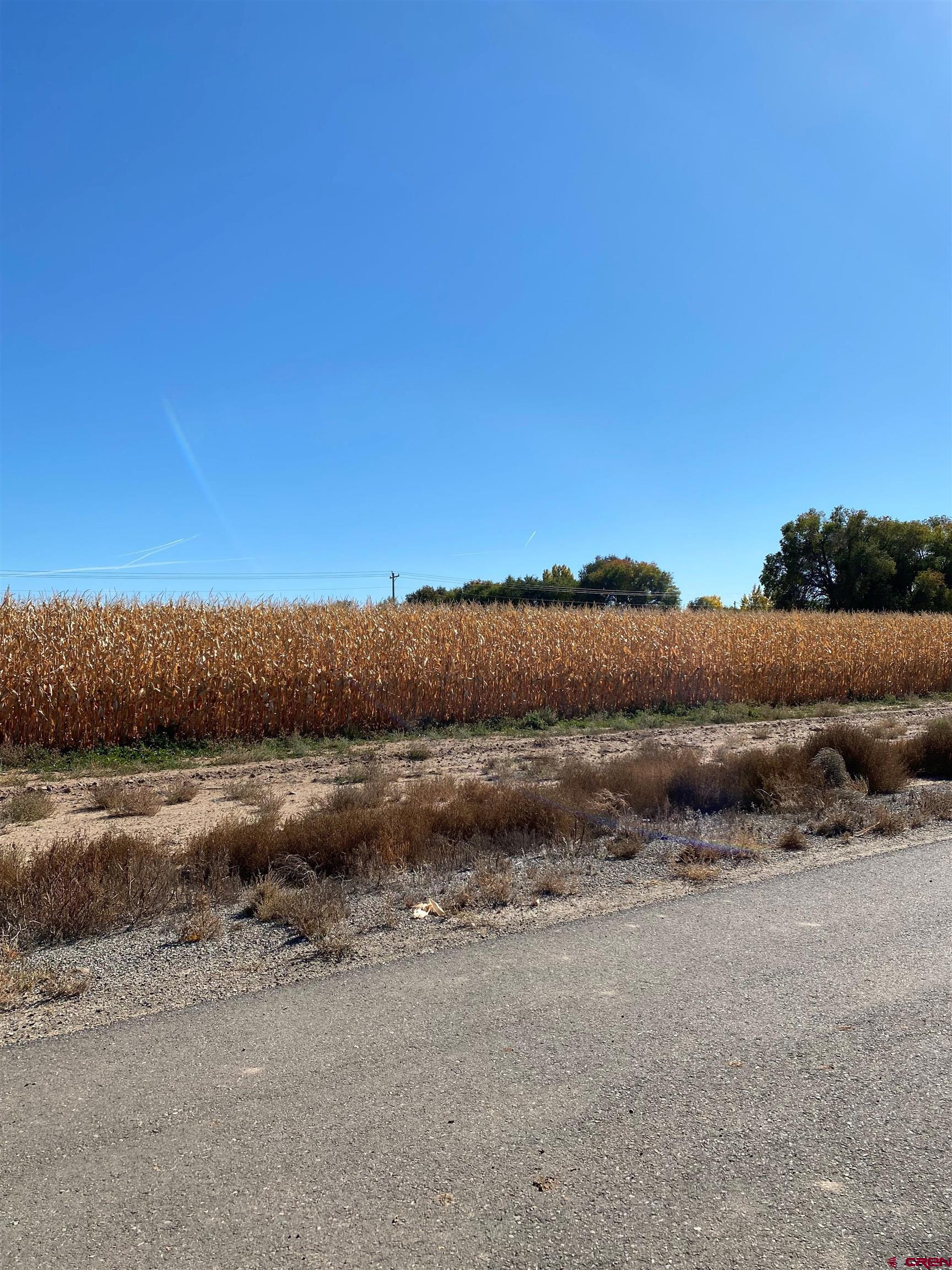 Great building lot in a grand subdivision on California Mesa near Delta, Colorado.  Perfect sized parcel, not too big, not too small.  Amazing views all the way around.  Build your dream home, right here.  Water Tap included.