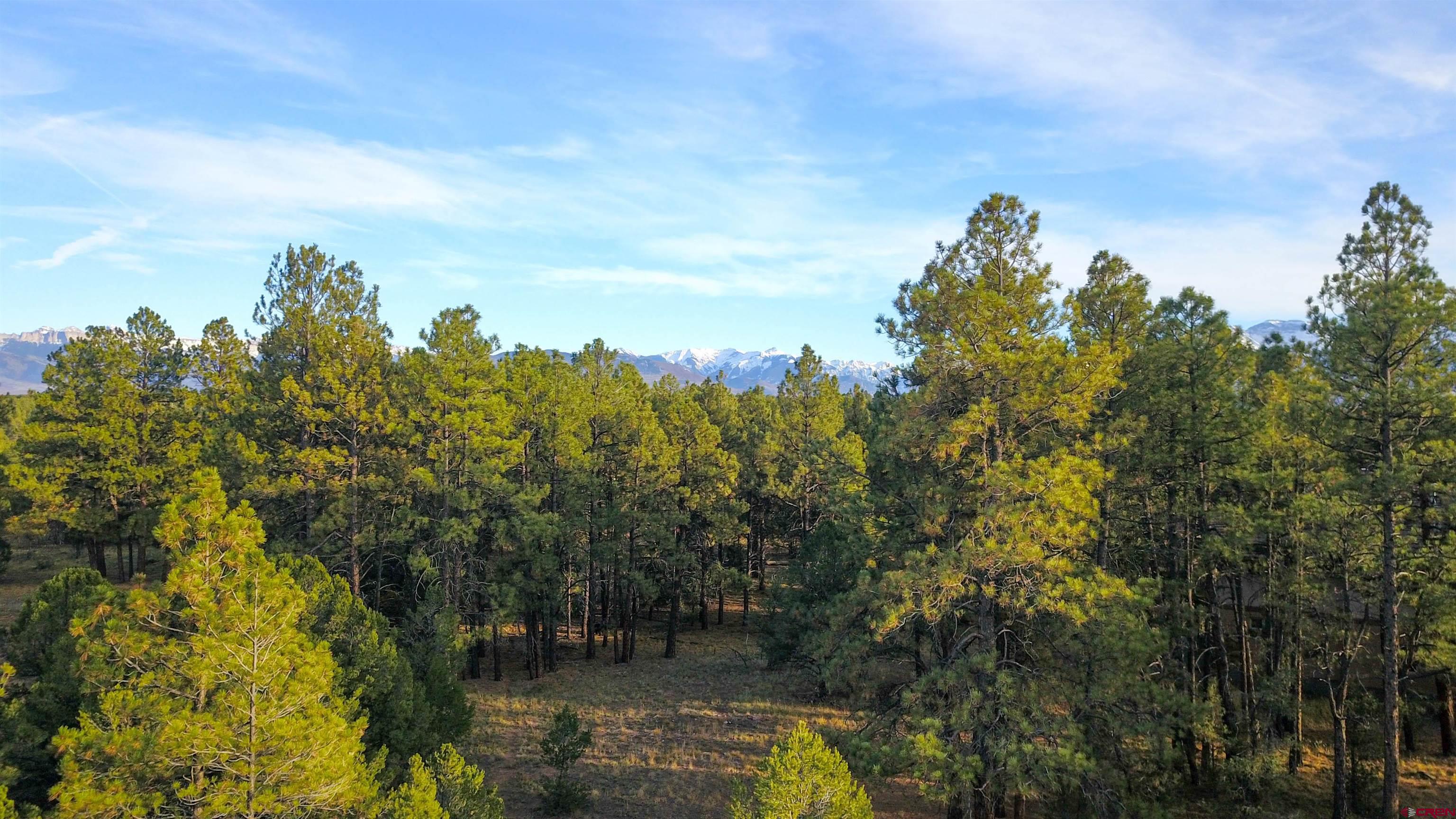 Located in Divide Ranch and Club, Ridgway's Exquisite Golf Club.  Featuring a quiet setting as well as views of the San Juan Mountain range for your future Colorado dream home. Mature Ponderosa Pine Trees tower this lot creating a a private homesite. This is an excellent opportunity with a water tap, natural gas, and power to the lot line.