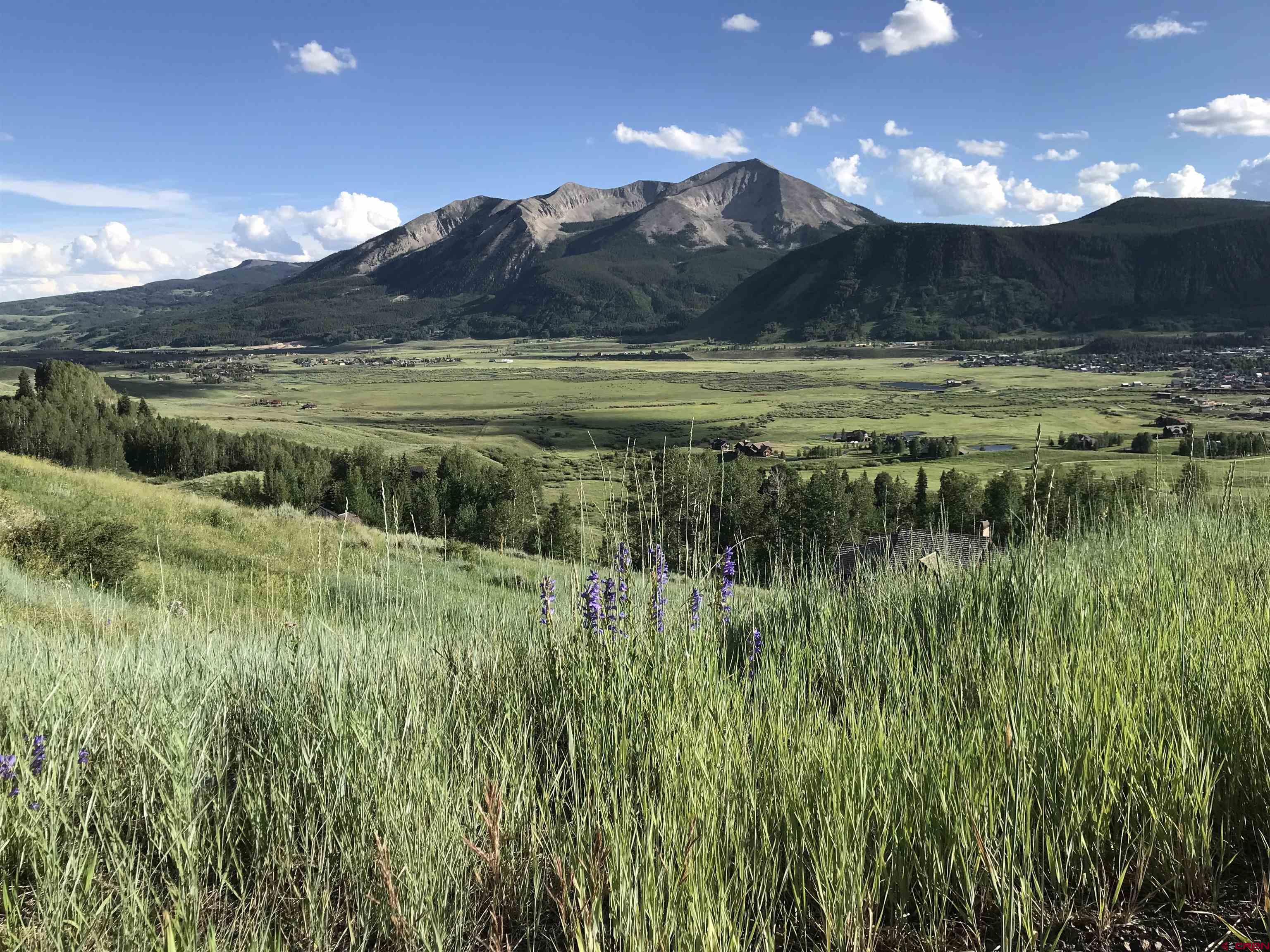 35 Overlook Drive, Mt. Crested Butte, CO 81225