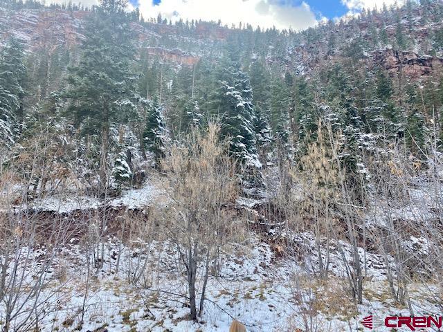 So many possibilities with this rare piece of land located in beautiful Ouray, CO - known as the Switzerland of America! Build your mountain dream home to be your permanent residence, 2nd home, or possible vacation rental.  Maybe you are an investor looking to maximize the space with a 4 plex - this R-2 zoned land allows so many possibilities.  Located on a very quiet, private street, this spot has it all, including mountain views.  One street over lies the famous Uncompahgre River trail making it a perfect location for a walk or cross country skiing/snowshoeing.  One can even take this trail into town (1 mile) and enjoy all the natural beauty along the way.  In addition to the river trail, the property is steps away from hiking trails allowing a person to never have to drive to get out and explore the surrounding mountains.  The Seller has preliminary drawings for a single family residence with an additional living space (extra space for guests, vacation rental, or long term tenant possibilities).  Agent can share these plans.  The Seller also has a rock fall mitigation plan from an Engineering Firm who completed their study on the property.  Seller will be following this plan with the installation of a rock fall berm at their expense.  This work will take place Spring 2022.