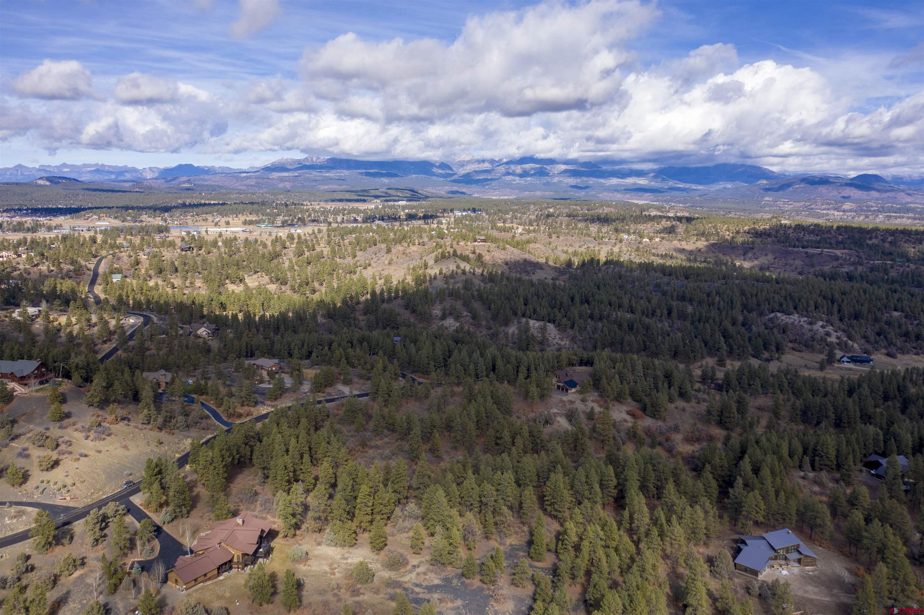 511 Cool Pines Drive, Pagosa Springs, CO 81147 Listing Photo  2
