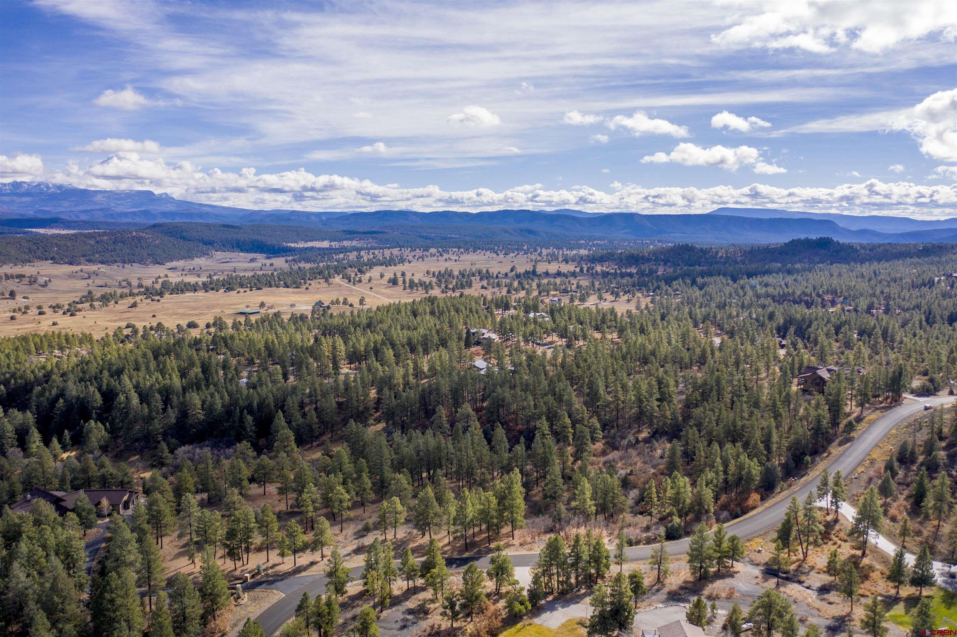511 Cool Pines Drive, Pagosa Springs, CO 81147 Listing Photo  12