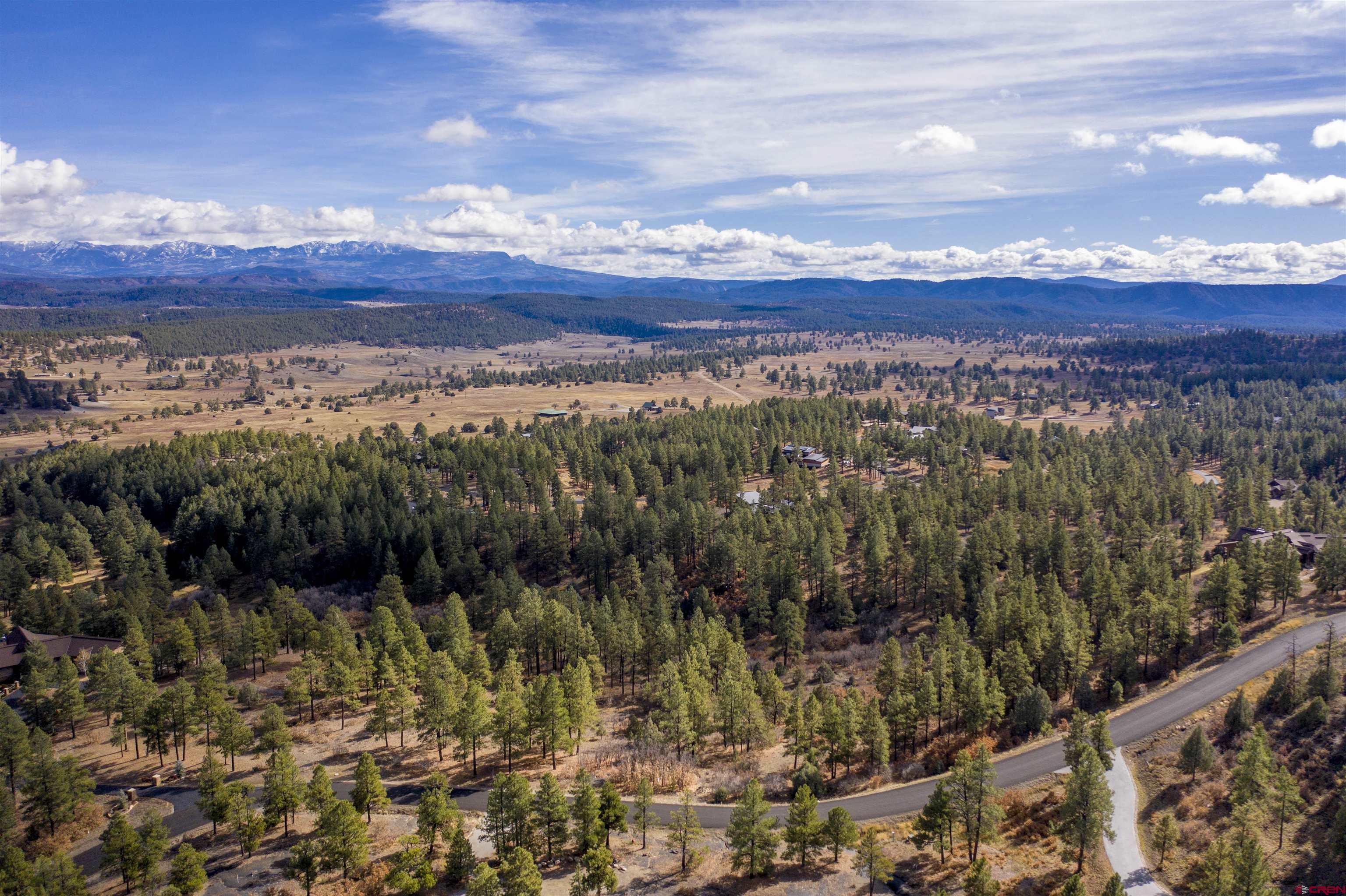 511 Cool Pines Drive, Pagosa Springs, CO 81147 Listing Photo  13