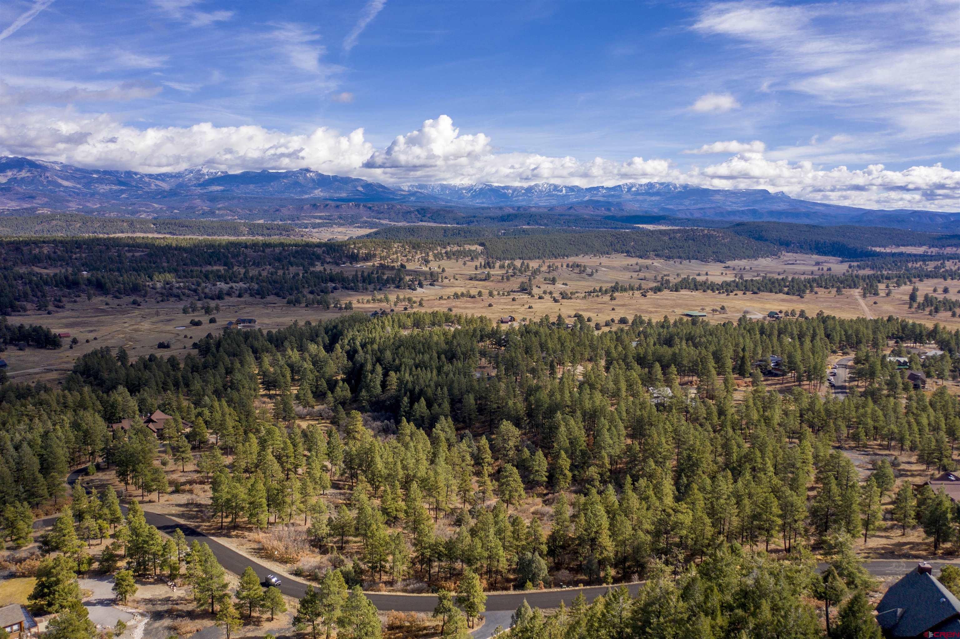 511 Cool Pines Drive, Pagosa Springs, CO 81147 Listing Photo  14