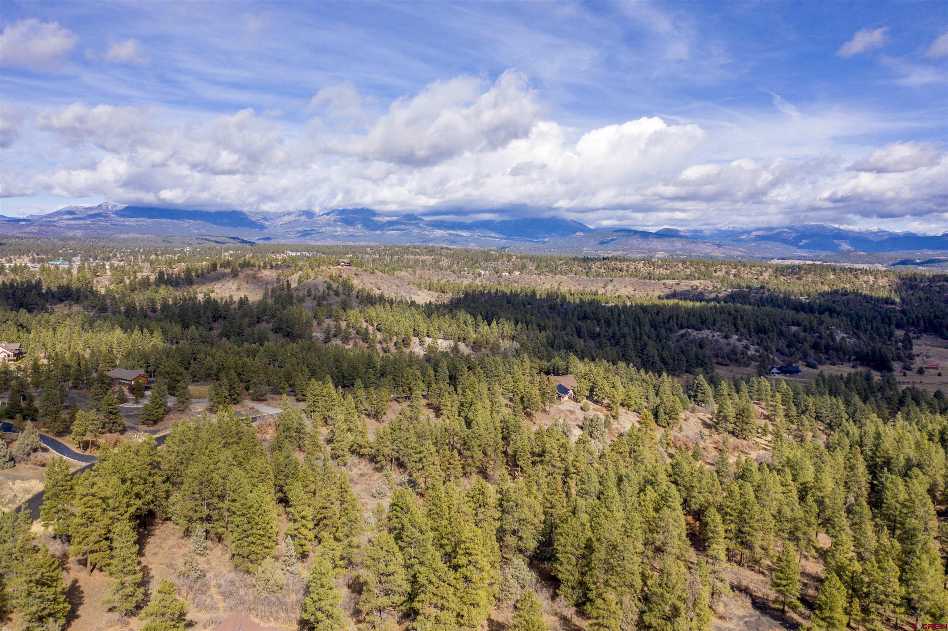 511 Cool Pines Drive, Pagosa Springs, CO 81147 Listing Photo  17