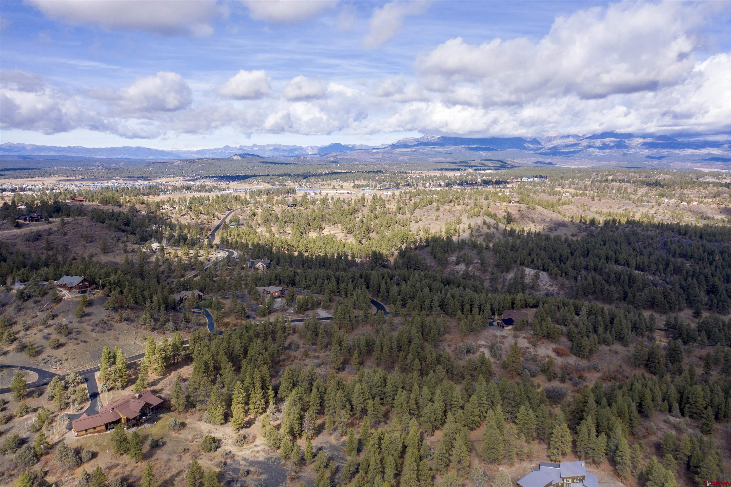 511 Cool Pines Drive, Pagosa Springs, CO 81147 Listing Photo  3