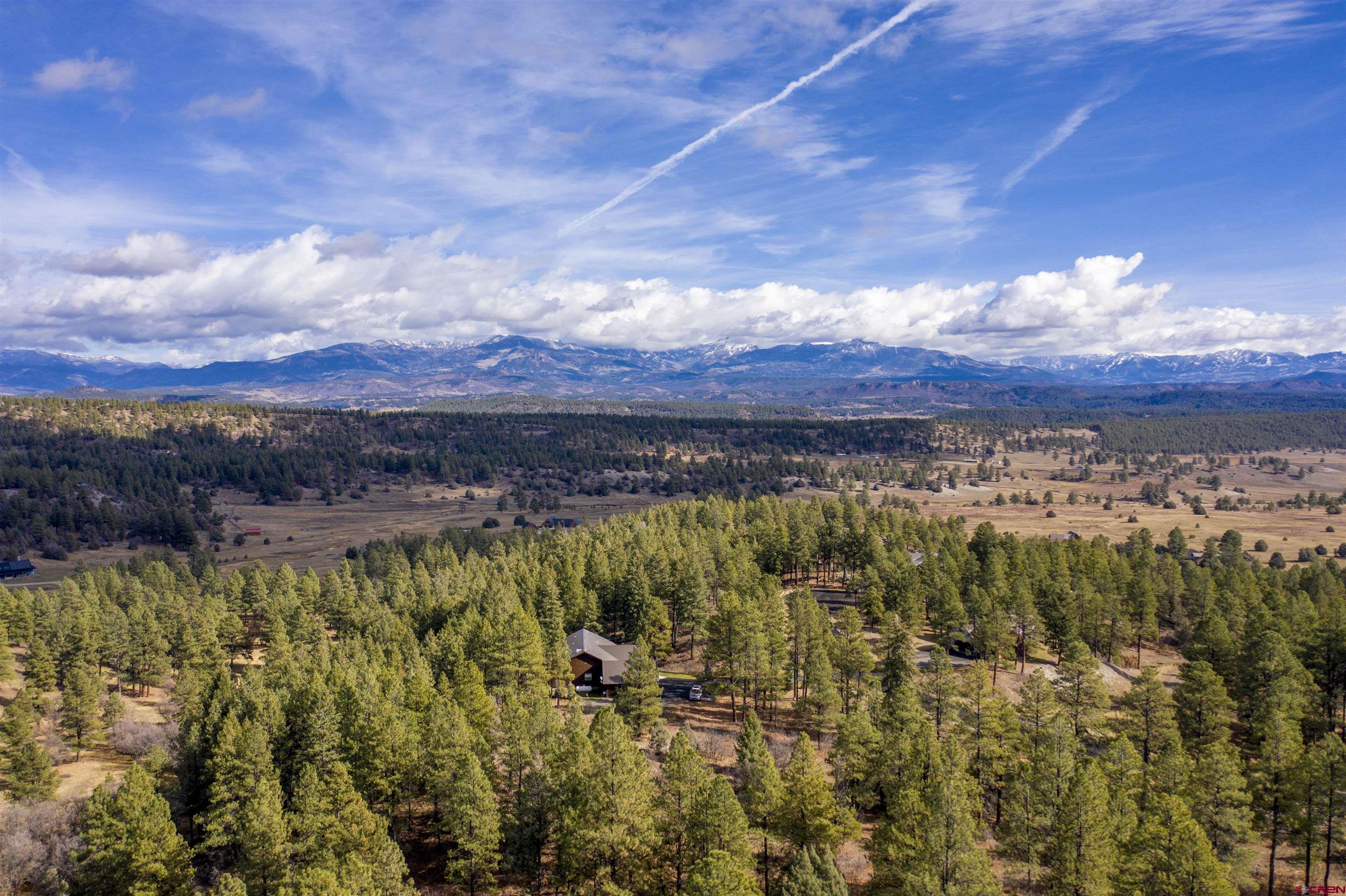 511 Cool Pines Drive, Pagosa Springs, CO 81147 Listing Photo  21