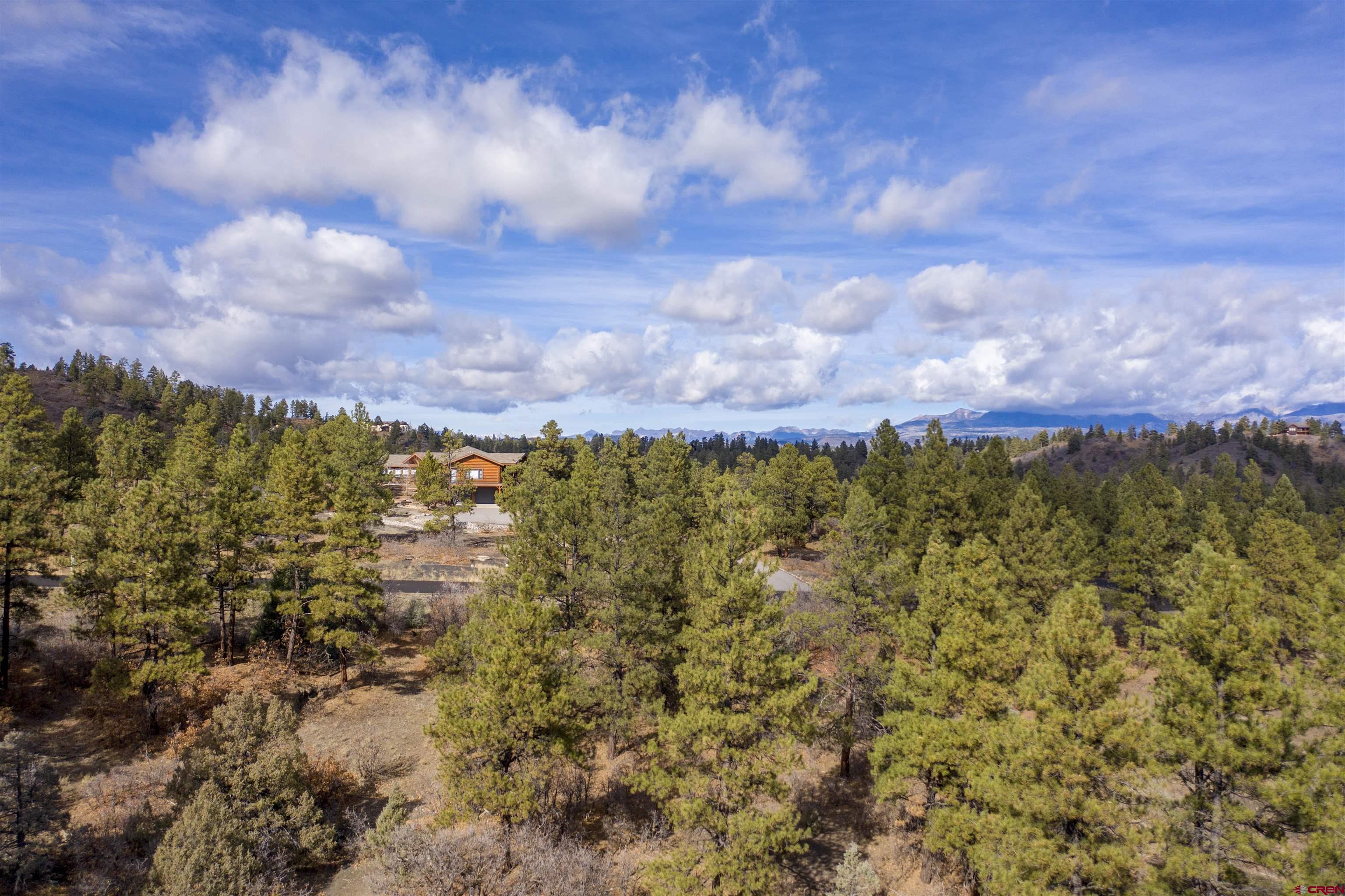 511 Cool Pines Drive, Pagosa Springs, CO 81147 Listing Photo  22