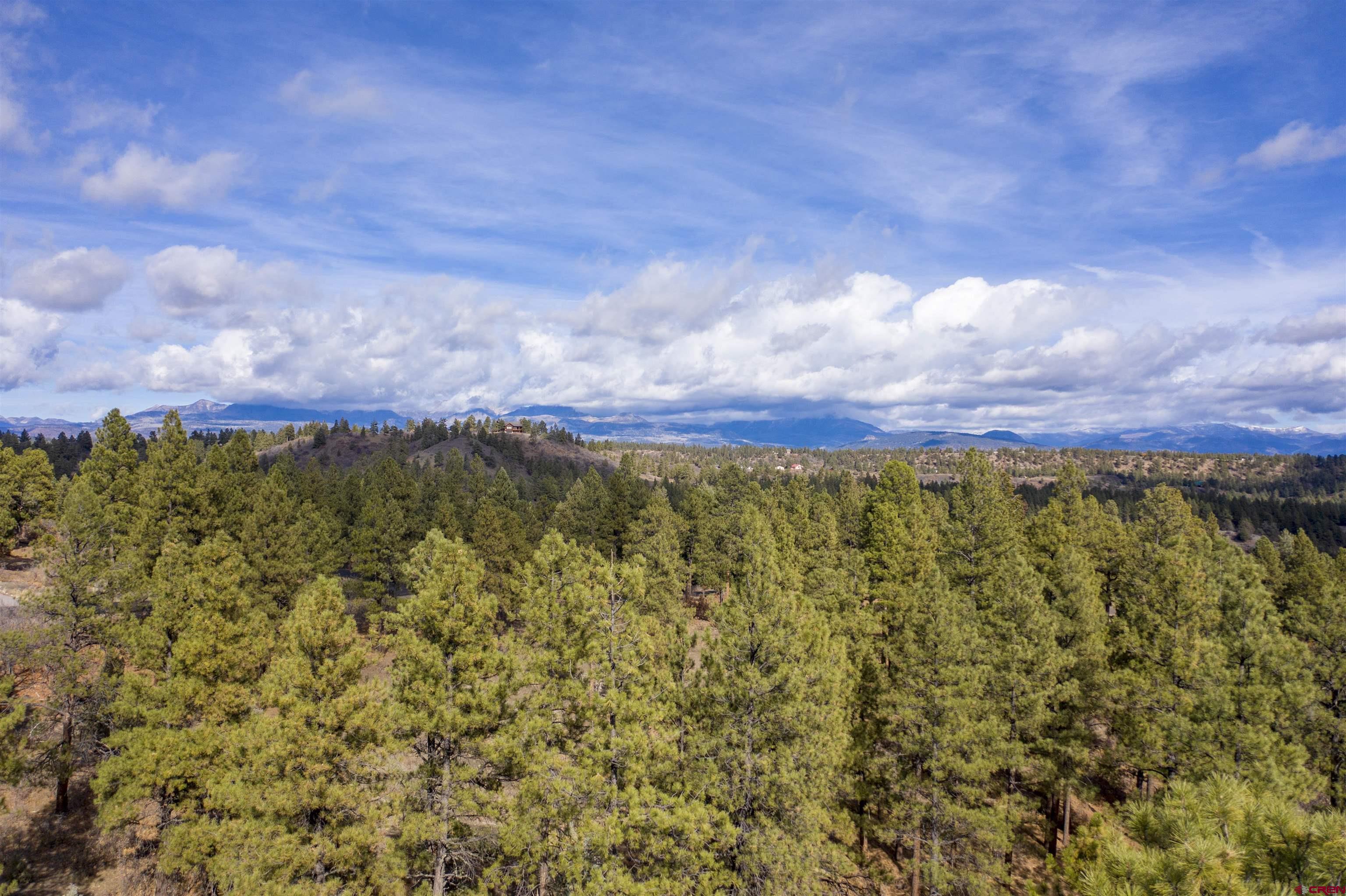 511 Cool Pines Drive, Pagosa Springs, CO 81147 Listing Photo  23