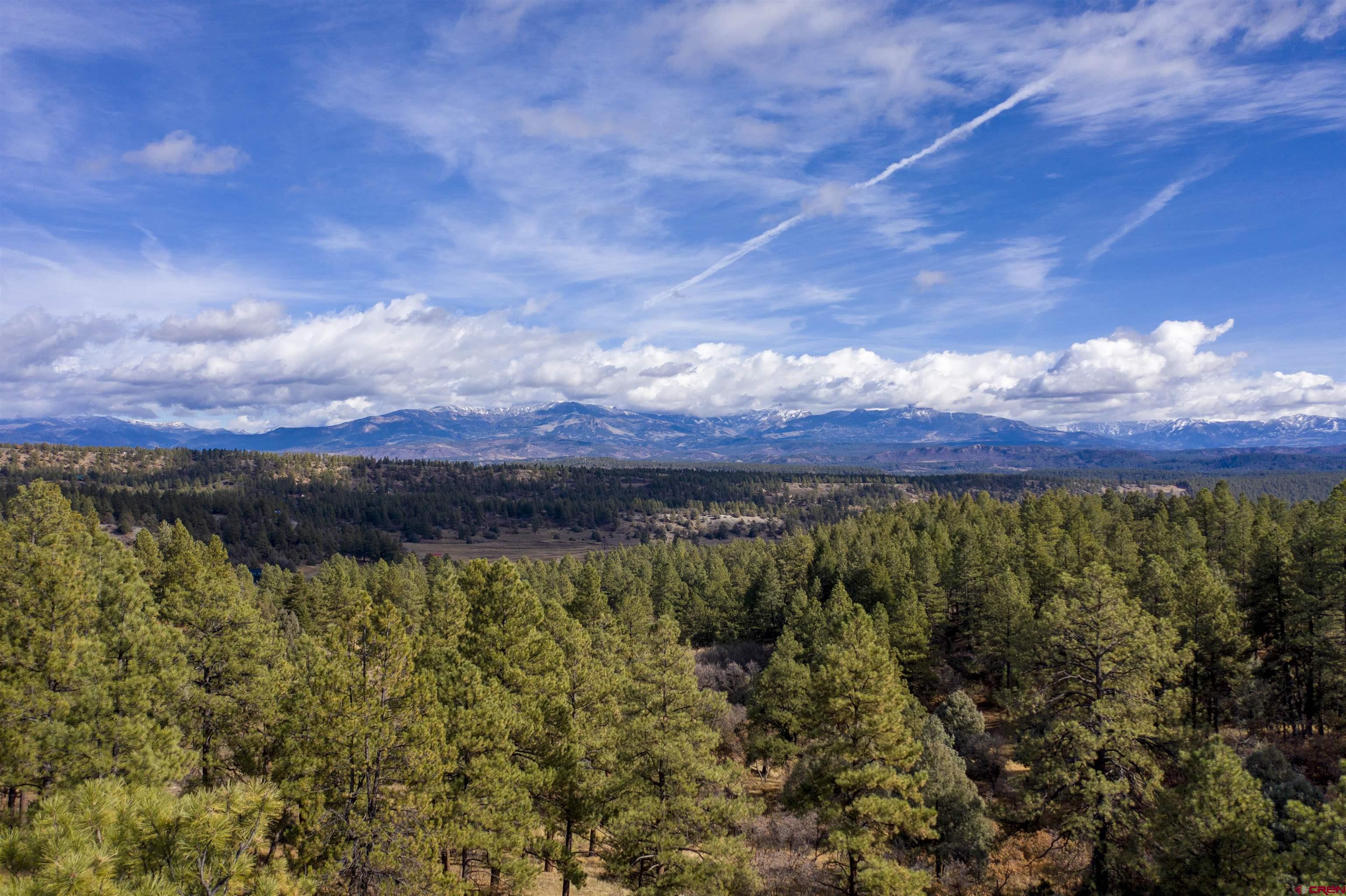 511 Cool Pines Drive, Pagosa Springs, CO 81147 Listing Photo  24