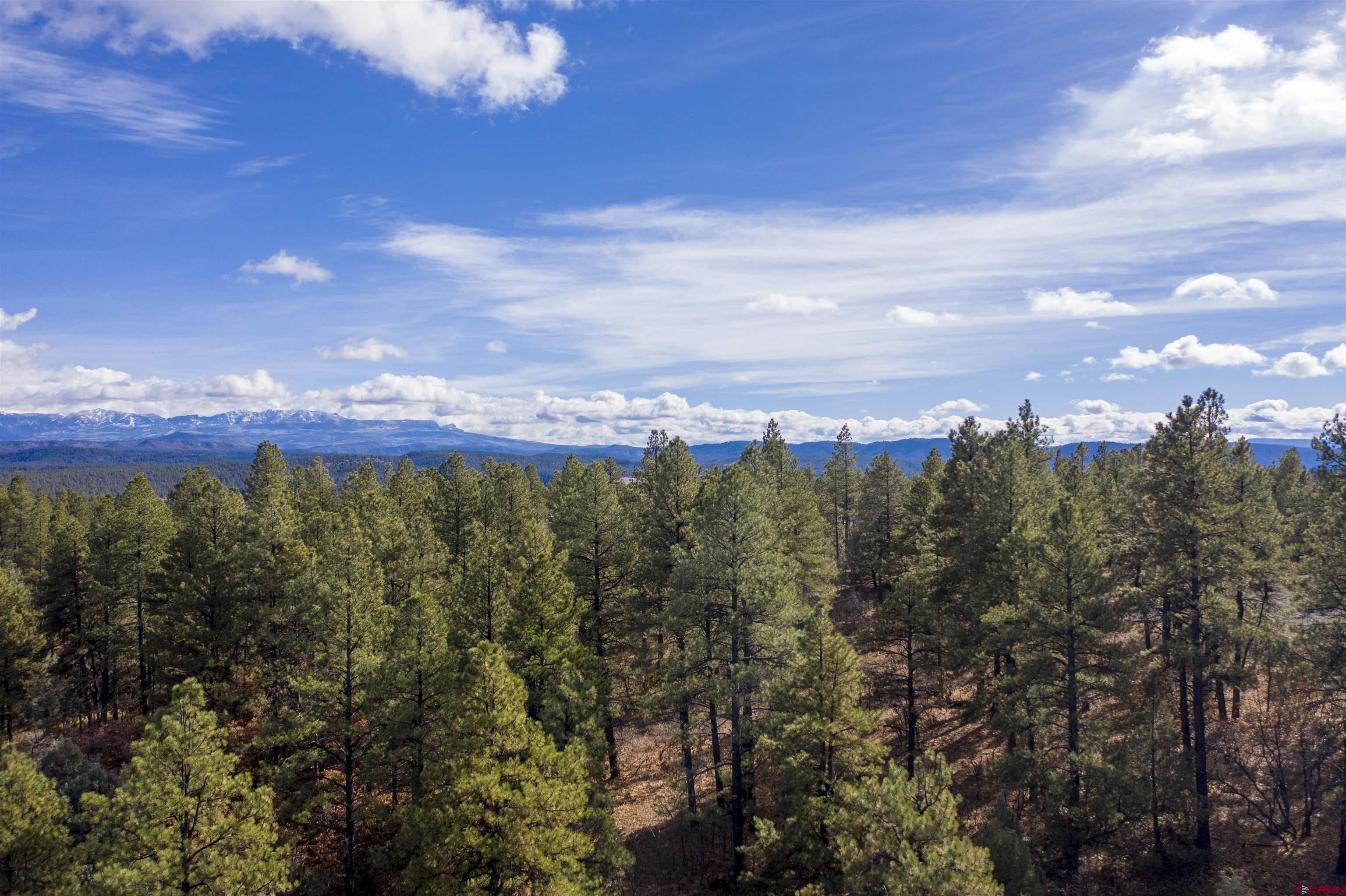 511 Cool Pines Drive, Pagosa Springs, CO 81147 Listing Photo  25