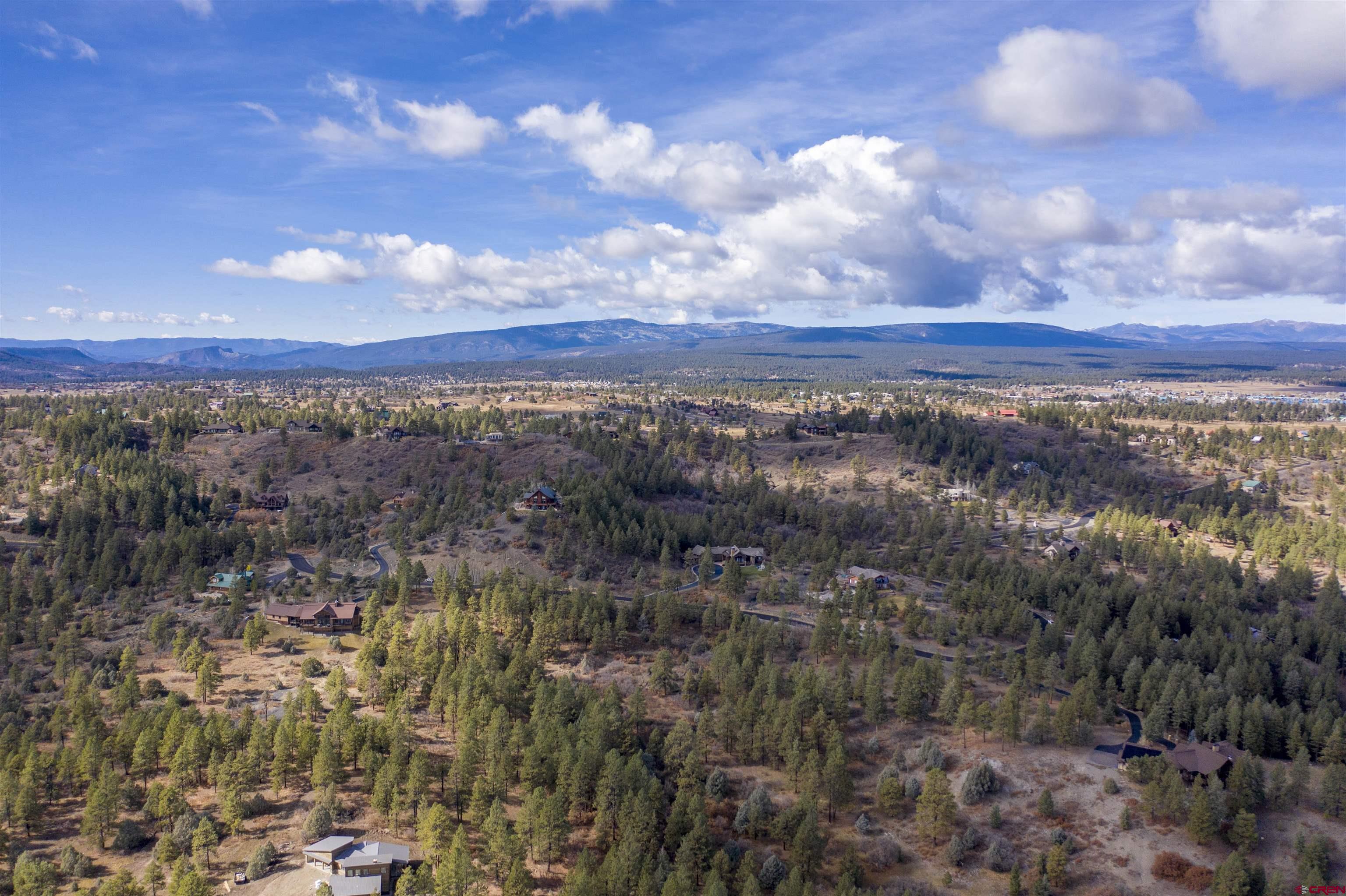 511 Cool Pines Drive, Pagosa Springs, CO 81147 Listing Photo  6