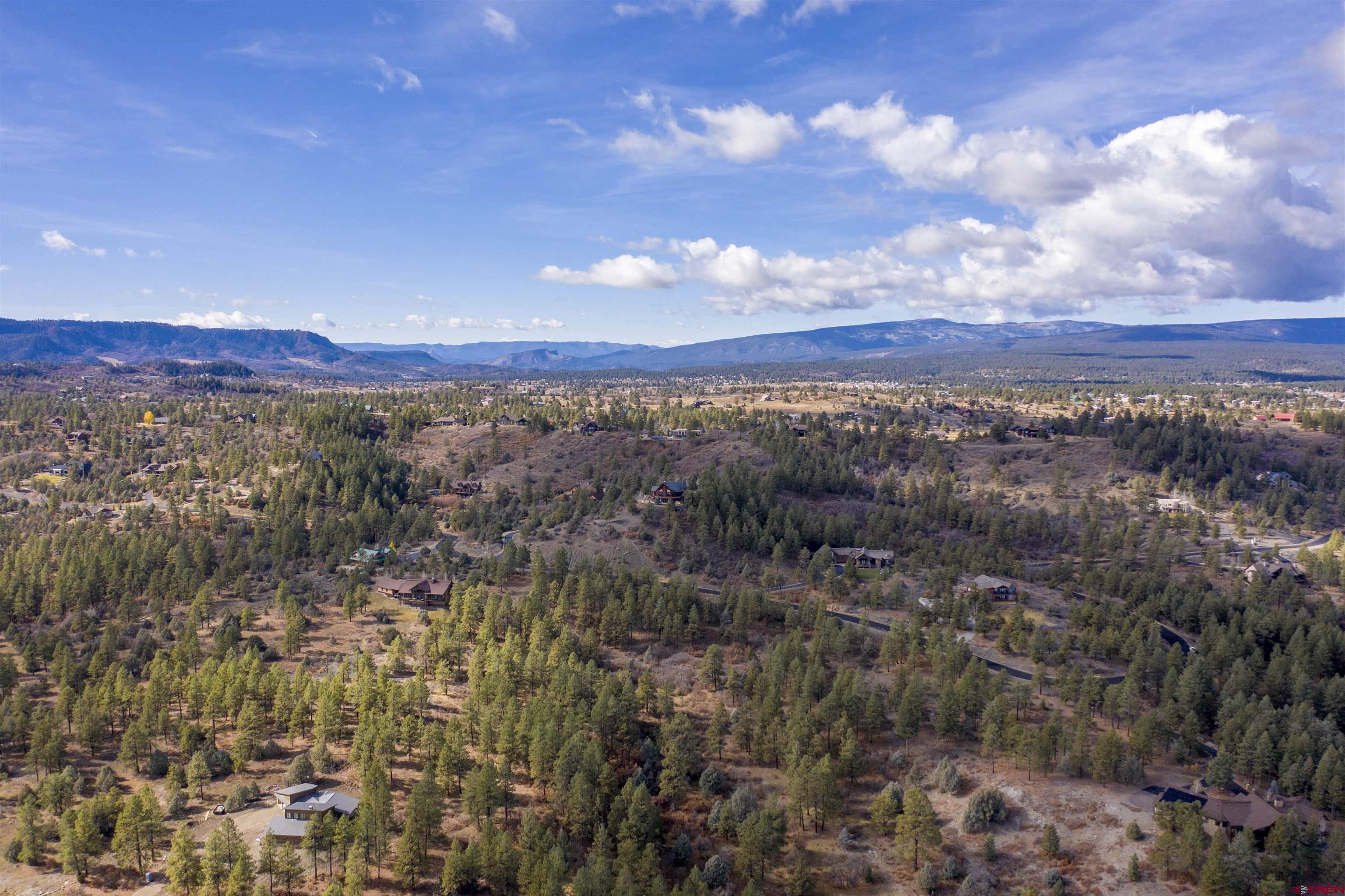 511 Cool Pines Drive, Pagosa Springs, CO 81147 Listing Photo  7