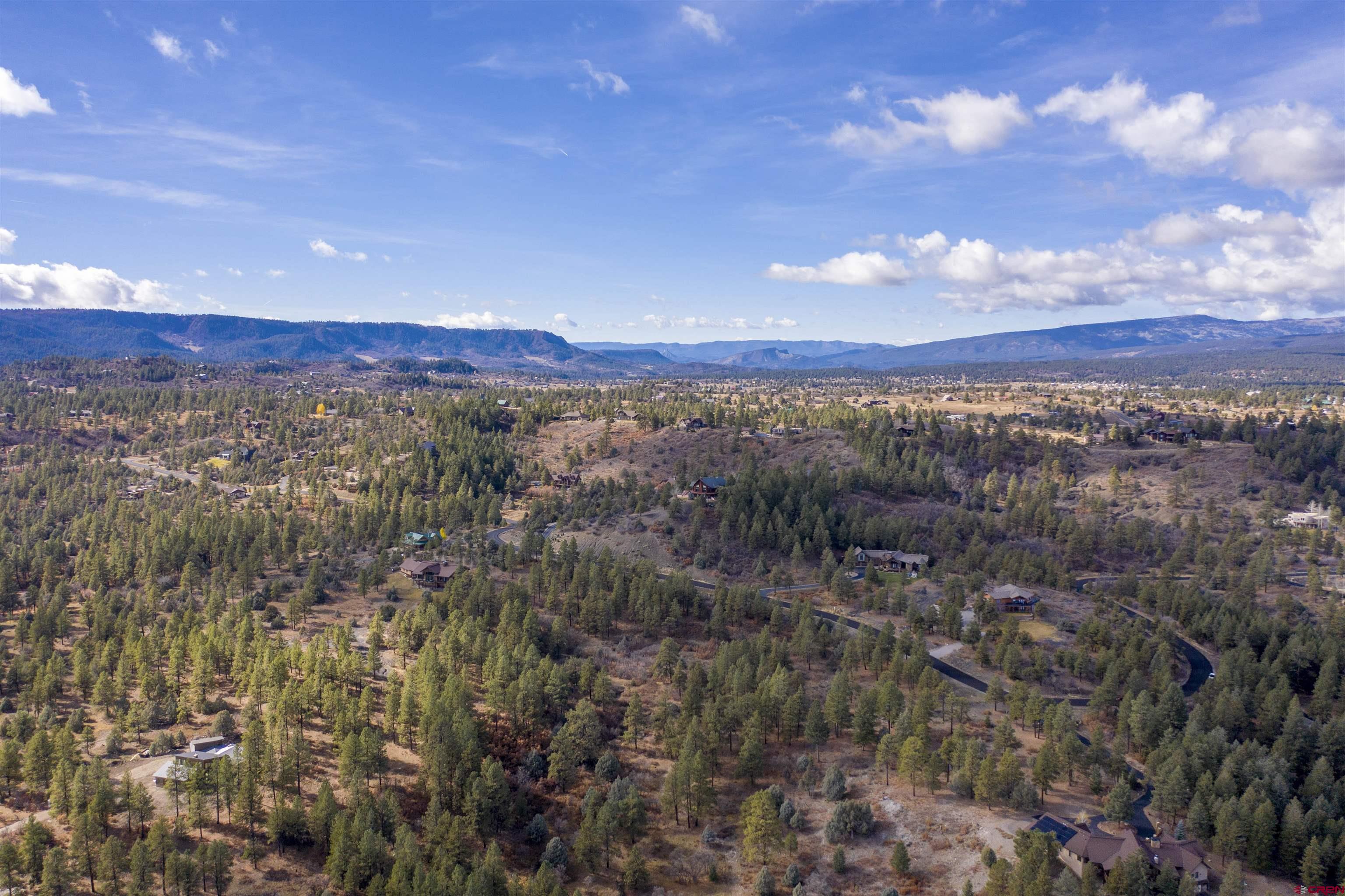 511 Cool Pines Drive, Pagosa Springs, CO 81147 Listing Photo  8
